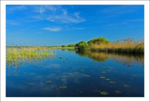 de pasti in delta dunarii